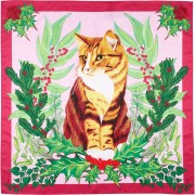 Holly The Cat Holly The Cat