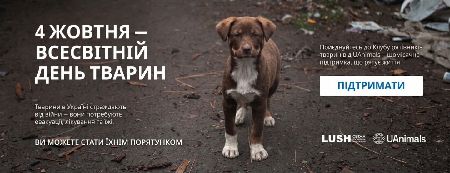 animal_day