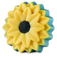 Сонце сходить